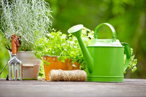 Sustainable landscaping practices in Battersea